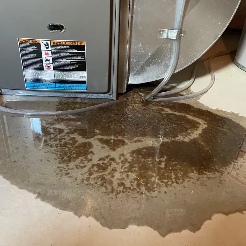 Appliance Leak Cleanup in Claude, TX